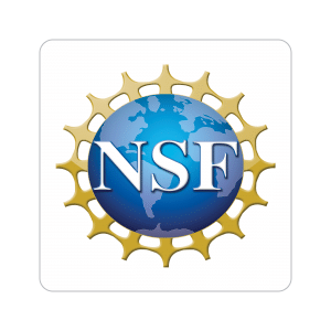 NSF Logo